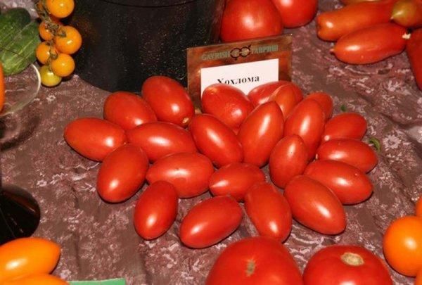  Variétés de tomates Khokhloma