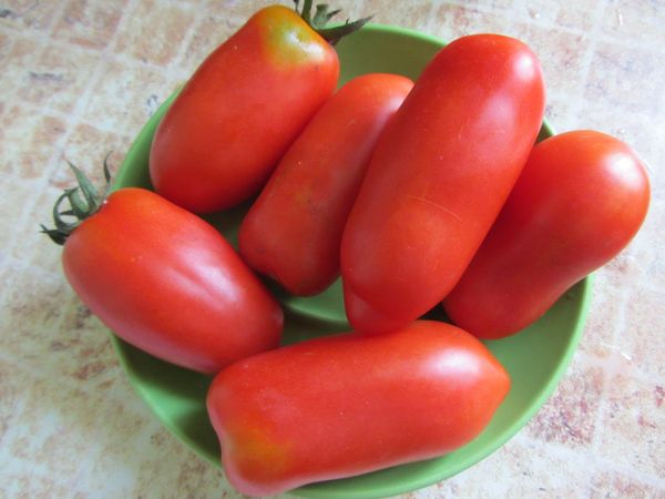  Pour le stockage, il est nécessaire de collecter des petits fruits denses.