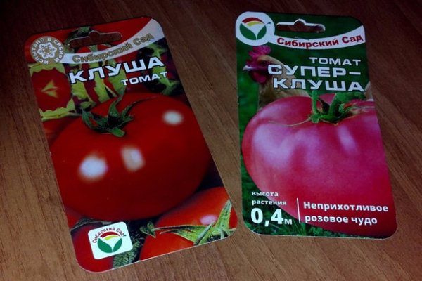  Graines de tomate Klusha et Super Klusha