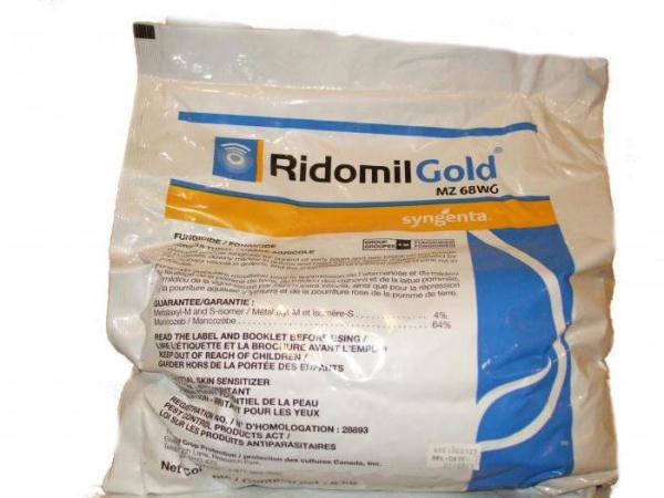  Ridomil Gold - fongicide de qualité pour la prévention et le traitement des plantes