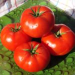  Les meilleures tomates à faible croissance