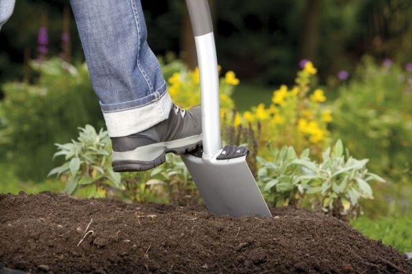  Lors de la préparation du sol, vous devez le creuser à la profondeur de la baïonnette.