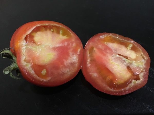  Si les tomates ne sont pas fertilisées pendant la floraison, elles pousseront avec un cœur immature.