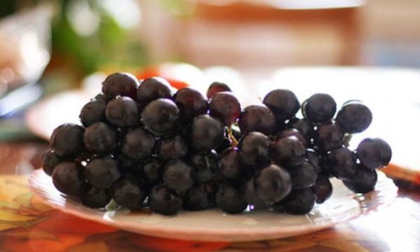  Comment conserver les raisins pour l'hiver