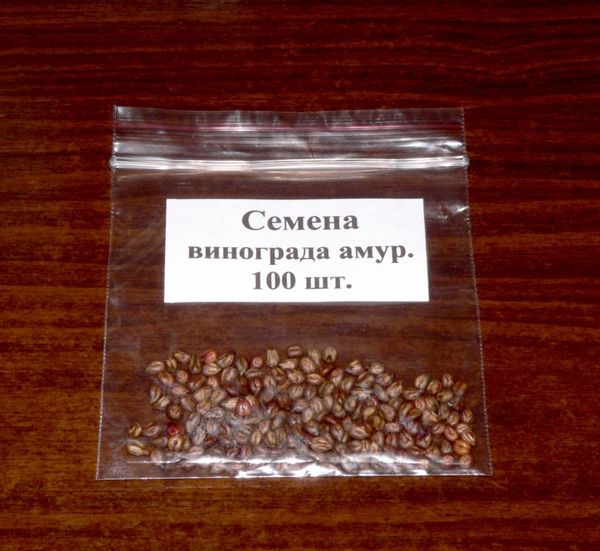  Graines de raisin Amur