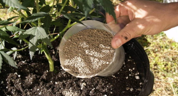  Utilisation de farine de dolomie pour la désoxydation du sol