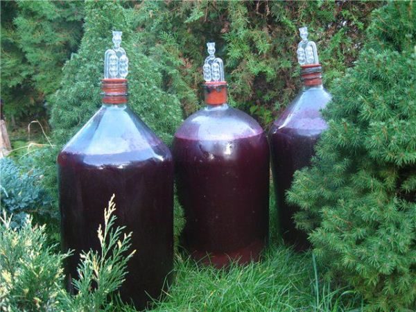  La fermentation est mieux effectuée dans le verre sous forme de bouteilles ou de cylindres.