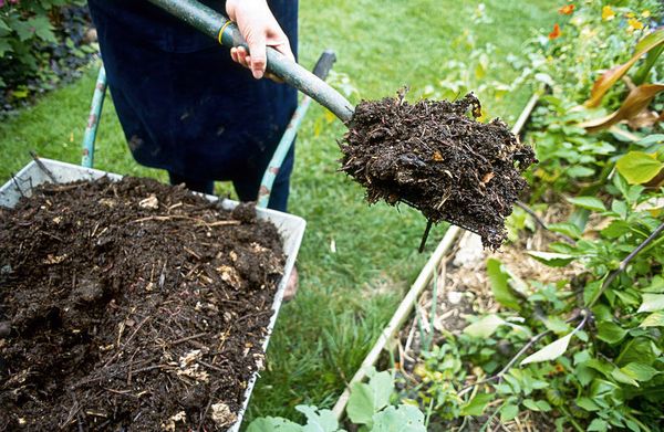  Le compost a un effet positif sur le sol et le bois.