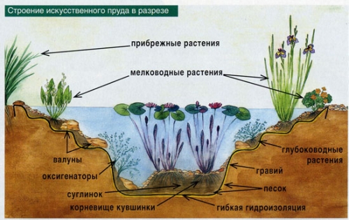  La structure schématique de l'étang pour les poissons
