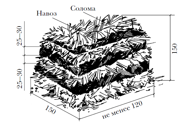  Le schéma des principaux composants du compost de champignons
