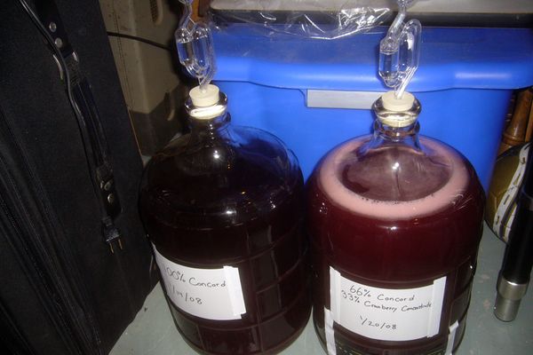  La fermentation du vin a lieu dans un endroit sombre pendant 25 à 50 jours.