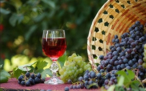  Pour la préparation du vin fermenter des raisins appropriés de toute variété.