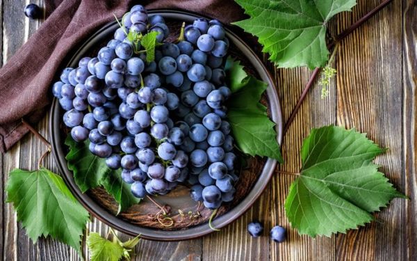  vitamines dans les raisins