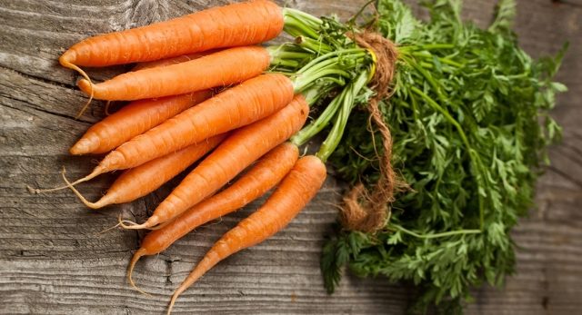  planter des carottes en utilisant la méthode kizima